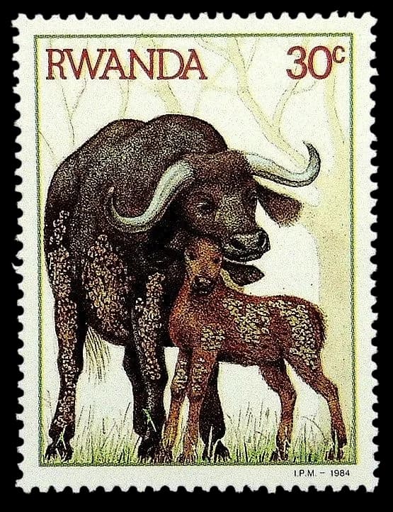 February postage placeholder