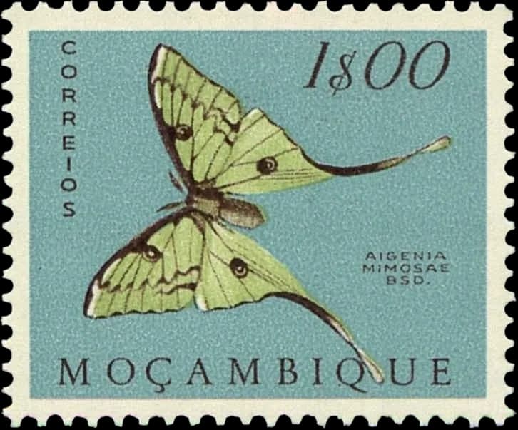 May postage placeholder