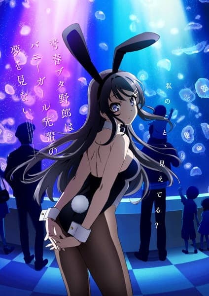 Rascal Does Not Dream of Bunny Girl Senpai key visual