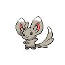 Animated Minccino